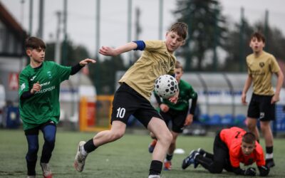 Dual career in practice: the new guide from Puszcza Niepołomice Academy
